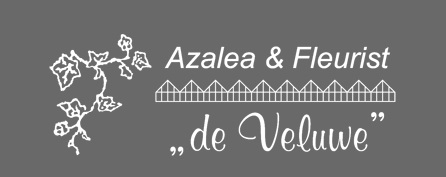 Azalea & Fleurist de Veluwe - Epe