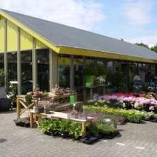 Tuincentrum Van Ingen - Lienden